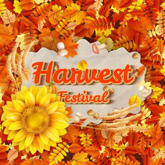 Harwest fastival background vectors material 03
