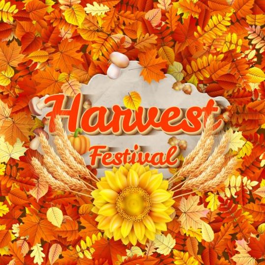 Harwest fastival background vectors material 05