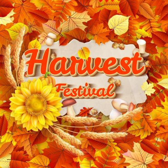 Harwest fastival background vectors material 06