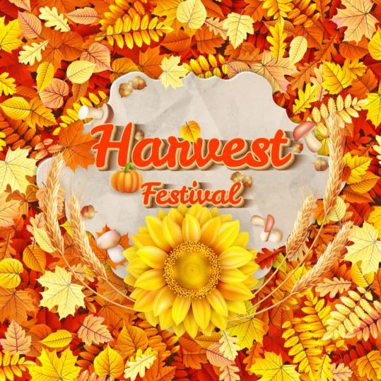 Harwest fastival background vectors material 07