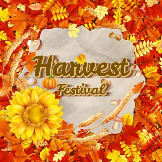 Harwest fastival background vectors material 08