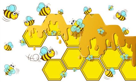 Little bee with honeycomb vector illustration 04