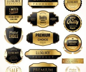 Luxury golden with black badges and labels vector