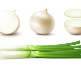 Onion slice with gree vagetables vector 01