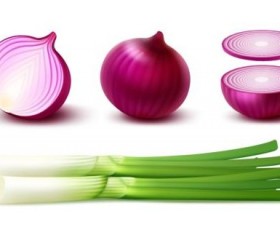 Onion slice with gree vagetables vector 03