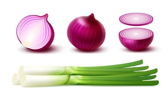 Onion slice with gree vagetables vector 03