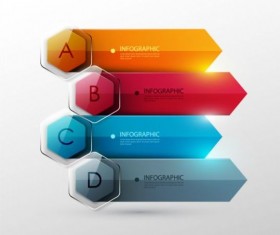 Options and number modern infographic vectors set 15