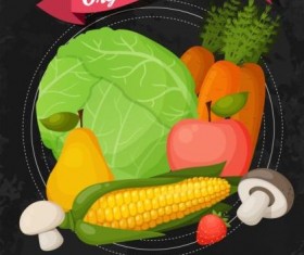 Organic vagetable shop poster vector