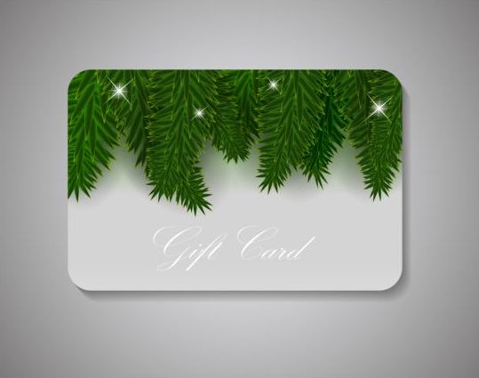 Pine leaves with christmas gift card vectors