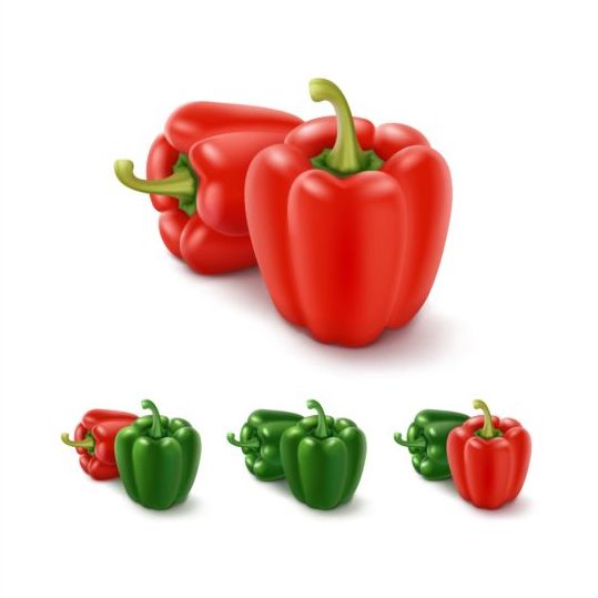Red with green pepper vector 03