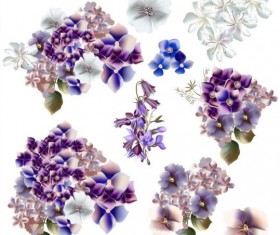 Watercolor flowers purple and blue colors vector