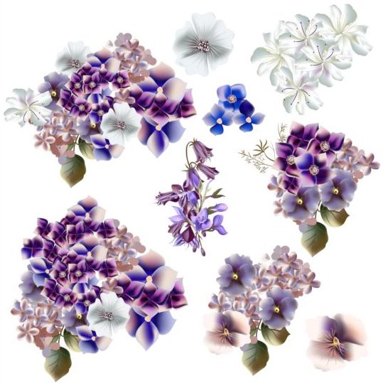 Watercolor flowers purple and blue colors vector