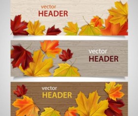 autumn leaves with wooden banner vector