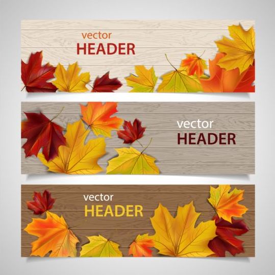 autumn leaves with wooden banner vector