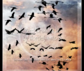 wild goose photoshop brushes