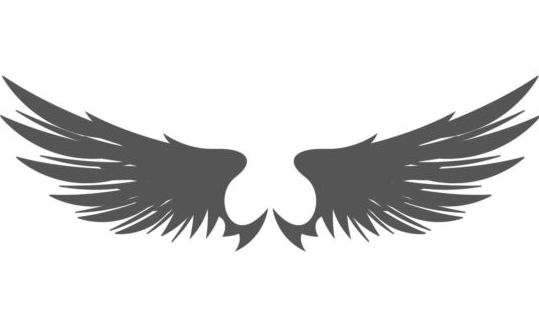 download brush photoshop wings