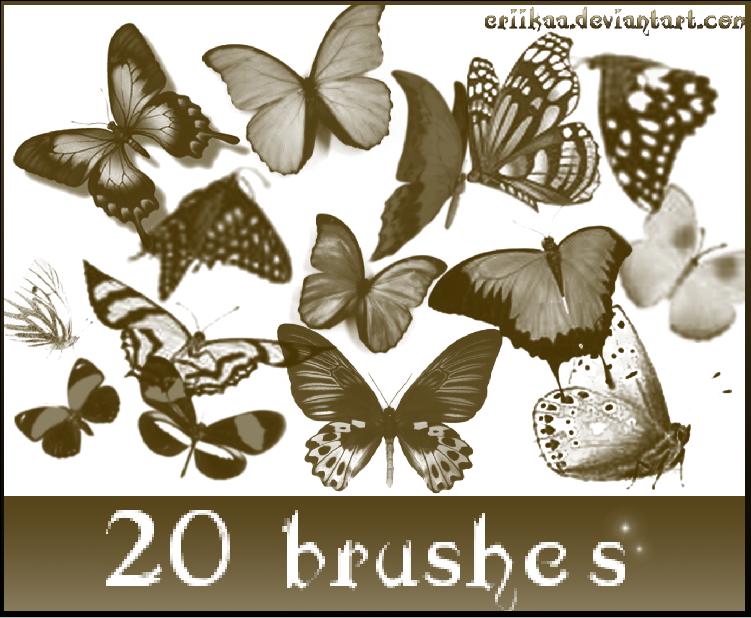 20 Kind butterflies PS Brushes