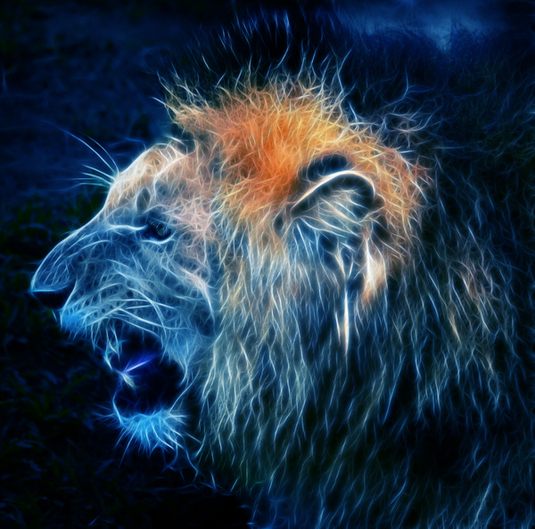 Abstract Artistic lion and black background 05