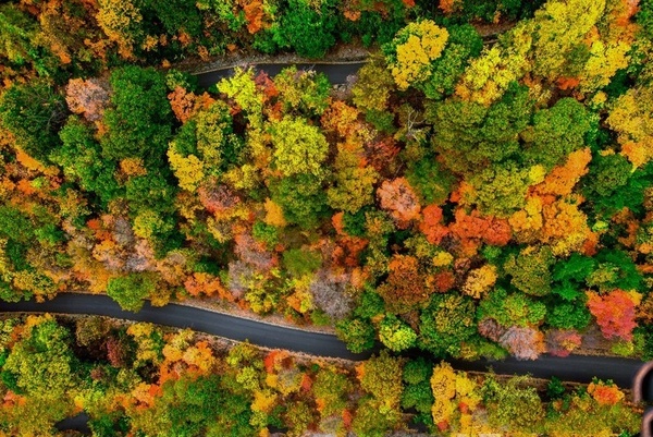 Aerial photography Fall background