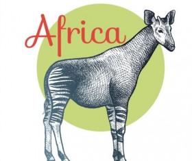 Africa deer vector