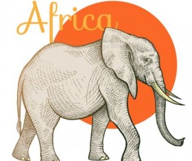Africa elephant vector