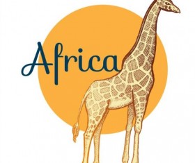 Africa giraffe vector