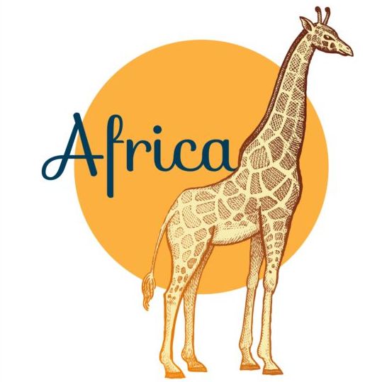 Africa giraffe vector