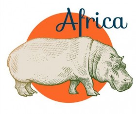 Africa hippo vector