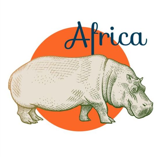 Africa hippo vector