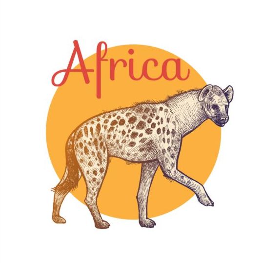 Africa hound vector