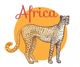 Africa leopard vector