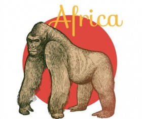 Africa orangutan vector