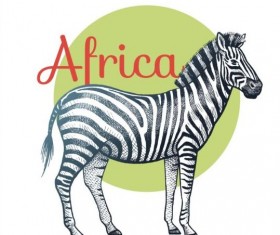 Africa zebra vector