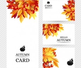 Autumn cards template vector
