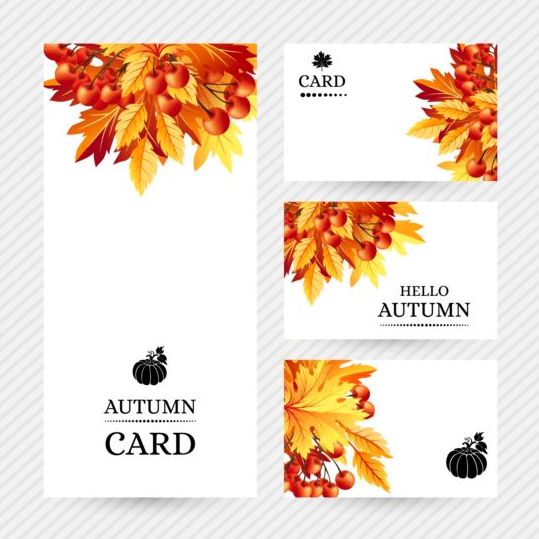 Autumn cards template vector