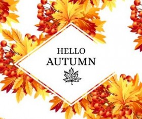 Autumn fructification with white background vector