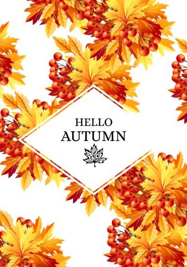 Autumn fructification with white background vector