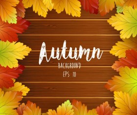 Autumn leaves frame with wooden background vector 02