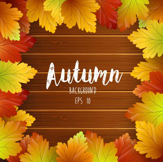 Autumn leaves frame with wooden background vector 02