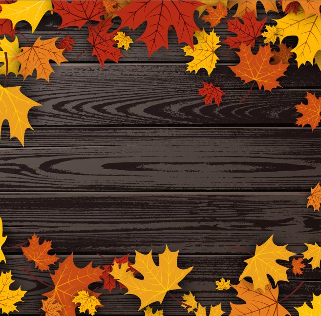 Autumn leaves frame with wooden background vector 03