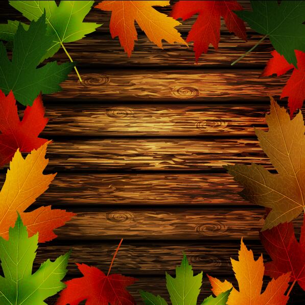 Autumn leaves frame with wooden background vector 04