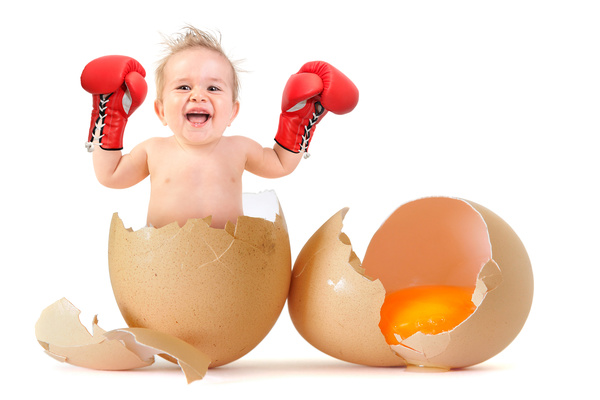 Baby with boxing gloves and broken egg HD picture