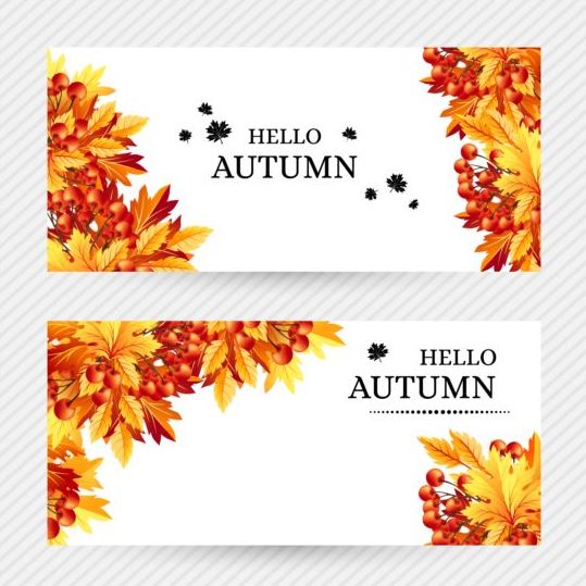 Banners Autumn vector material