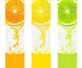 Banners with fresh citrus fruit vector