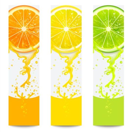 Banners with fresh citrus fruit vector