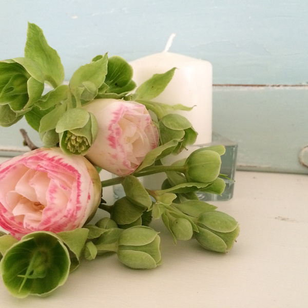 Beautiful Camellia flowers and candles Stock Photo 1