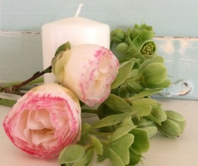 Beautiful Camellia flowers and candles Stock Photo 2