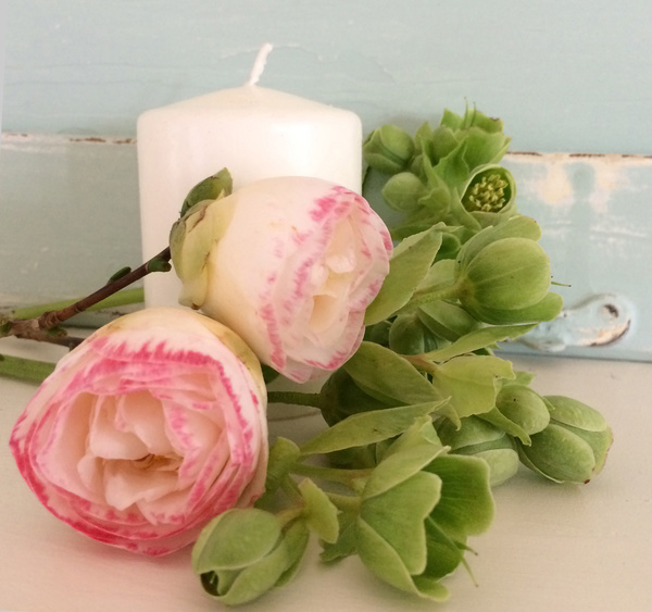 Beautiful Camellia flowers and candles Stock Photo 2