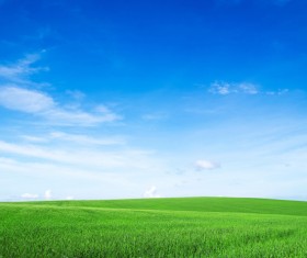 Beautiful blue sky green grassland HD picture