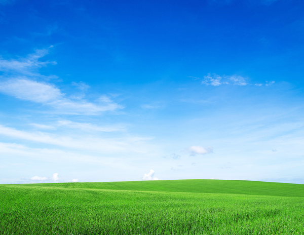 Beautiful blue sky green grassland HD picture